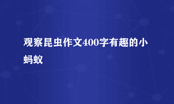 观察昆虫作文400字有趣的小蚂蚁