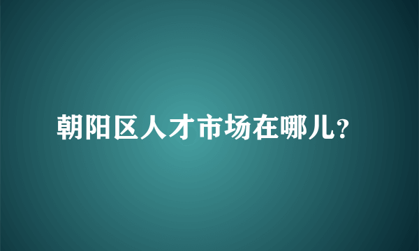 朝阳区人才市场在哪儿？