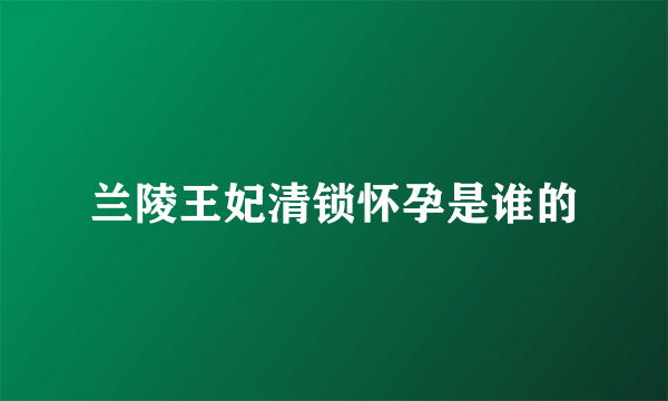 兰陵王妃清锁怀孕是谁的