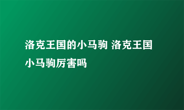 洛克王国的小马驹 洛克王国小马驹厉害吗