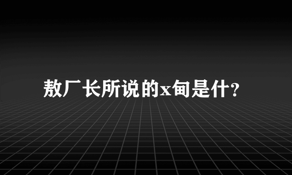 敖厂长所说的x甸是什？