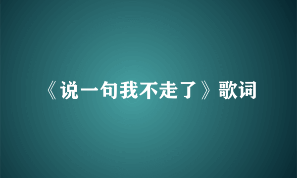 《说一句我不走了》歌词