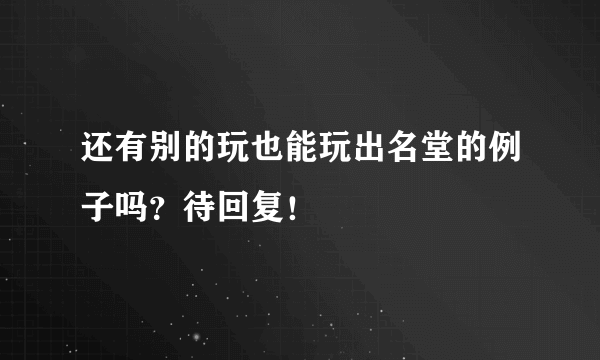 还有别的玩也能玩出名堂的例子吗？待回复！