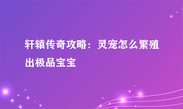 轩辕传奇攻略：灵宠怎么繁殖出极品宝宝