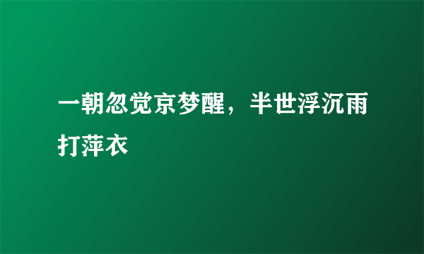 一朝忽觉京梦醒，半世浮沉雨打萍衣