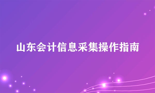 山东会计信息采集操作指南