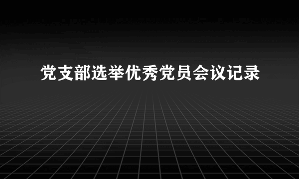 党支部选举优秀党员会议记录