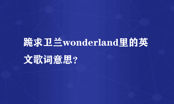 跪求卫兰wonderland里的英文歌词意思？