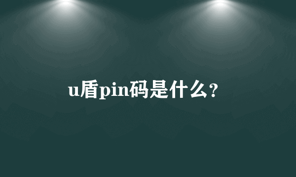 u盾pin码是什么？