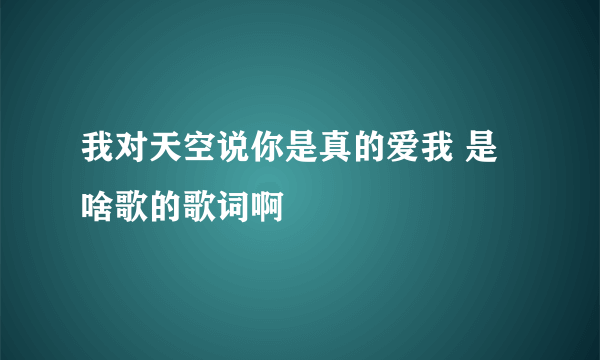 我对天空说你是真的爱我 是啥歌的歌词啊