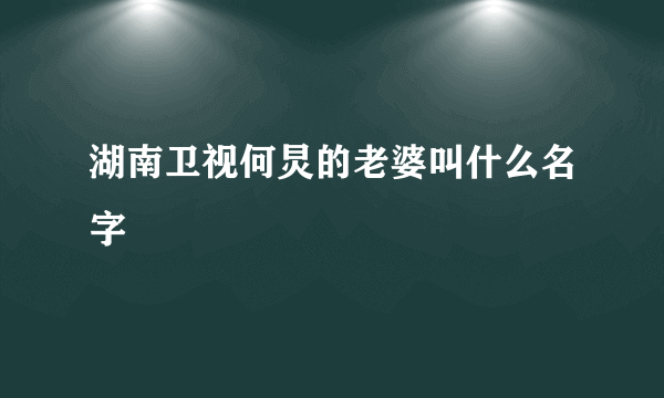 湖南卫视何炅的老婆叫什么名字