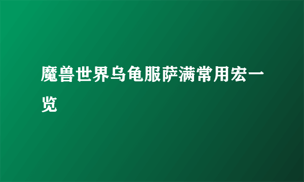 魔兽世界乌龟服萨满常用宏一览