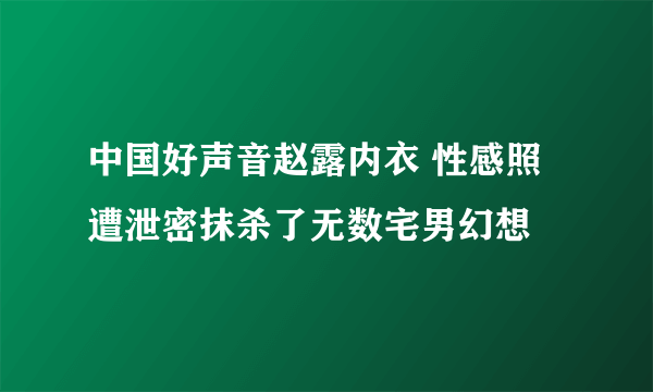 中国好声音赵露内衣 性感照遭泄密抹杀了无数宅男幻想