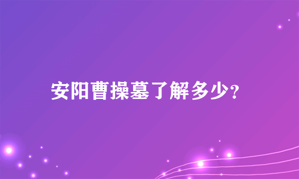 安阳曹操墓了解多少？