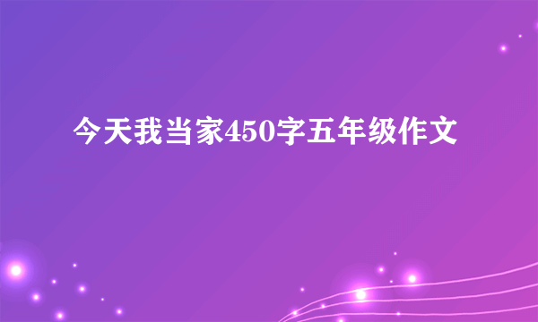 今天我当家450字五年级作文