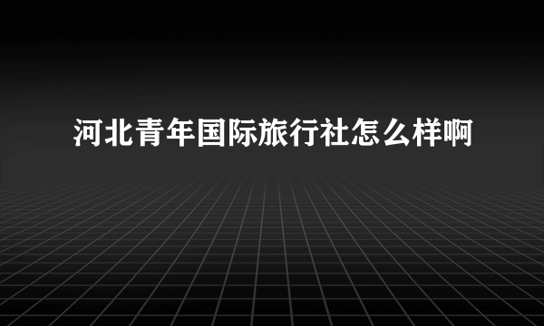 河北青年国际旅行社怎么样啊