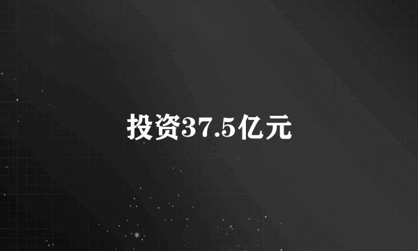 投资37.5亿元