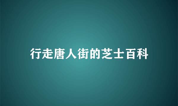 行走唐人街的芝士百科