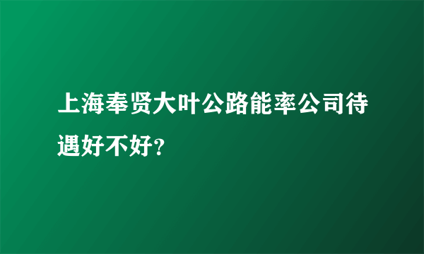 上海奉贤大叶公路能率公司待遇好不好？