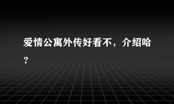 爱情公寓外传好看不，介绍哈？