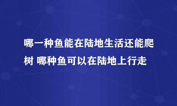 哪一种鱼能在陆地生活还能爬树 哪种鱼可以在陆地上行走