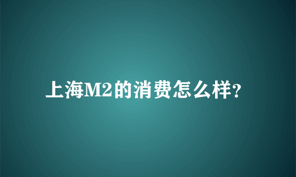 上海M2的消费怎么样？