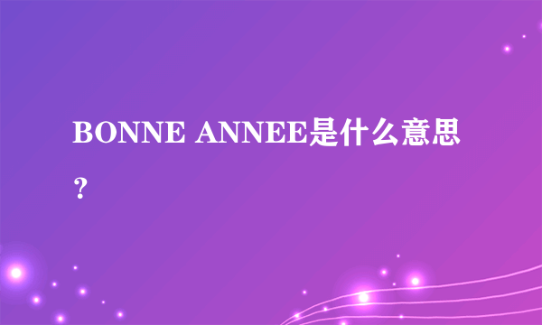 BONNE ANNEE是什么意思？