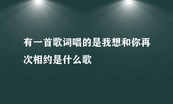 有一首歌词唱的是我想和你再次相约是什么歌