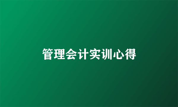 管理会计实训心得