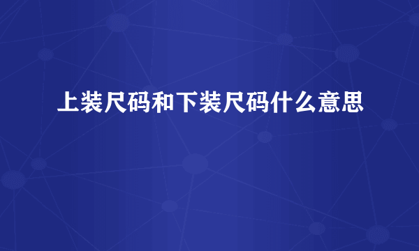 上装尺码和下装尺码什么意思