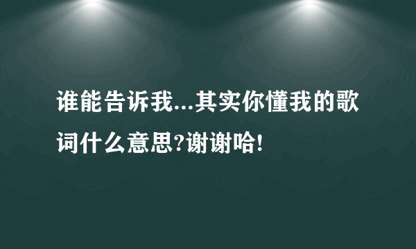 谁能告诉我...其实你懂我的歌词什么意思?谢谢哈!