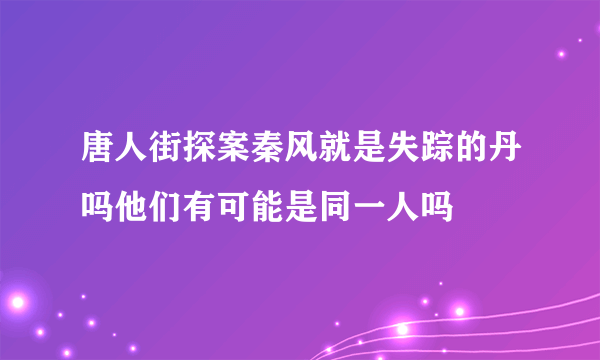 唐人街探案秦风就是失踪的丹吗他们有可能是同一人吗