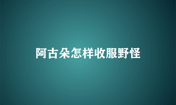 阿古朵怎样收服野怪