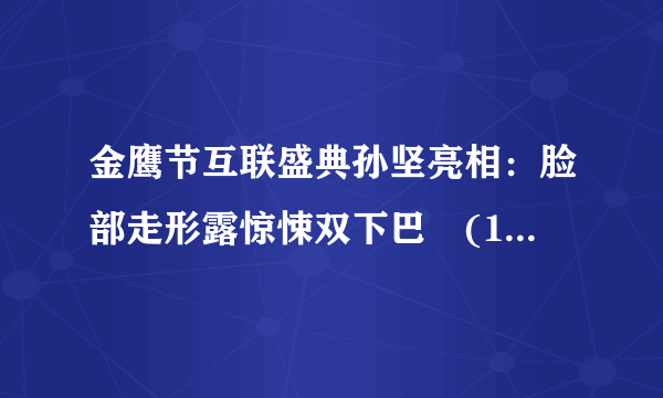 金鹰节互联盛典孙坚亮相：脸部走形露惊悚双下巴　(15/25)