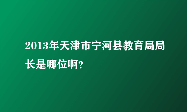 2013年天津市宁河县教育局局长是哪位啊？