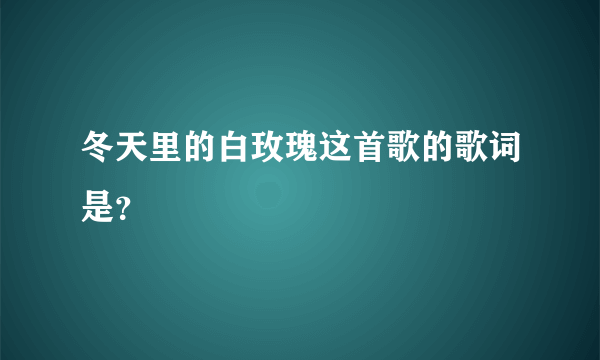 冬天里的白玫瑰这首歌的歌词是？