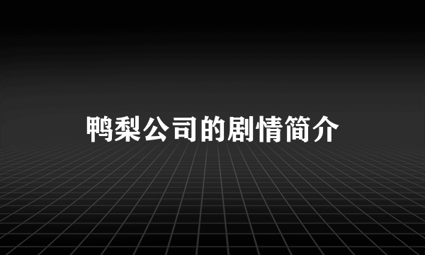 鸭梨公司的剧情简介