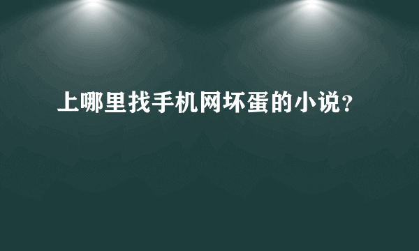 上哪里找手机网坏蛋的小说？