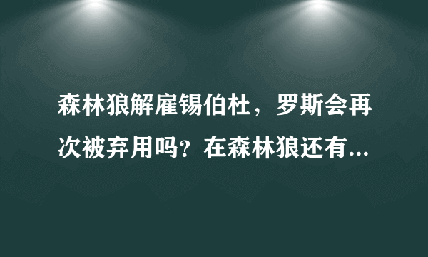 森林狼解雇锡伯杜，罗斯会再次被弃用吗？在森林狼还有未来吗？