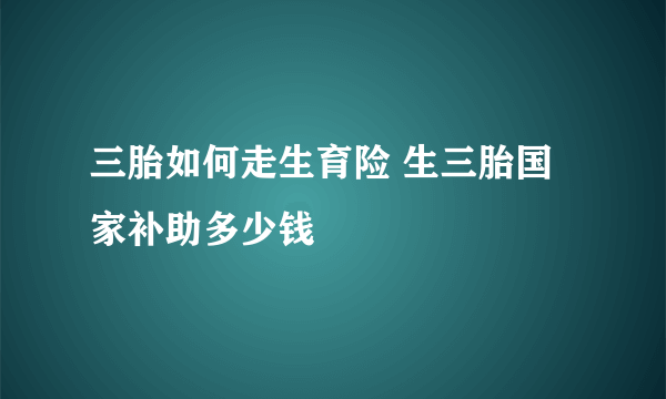 三胎如何走生育险 生三胎国家补助多少钱