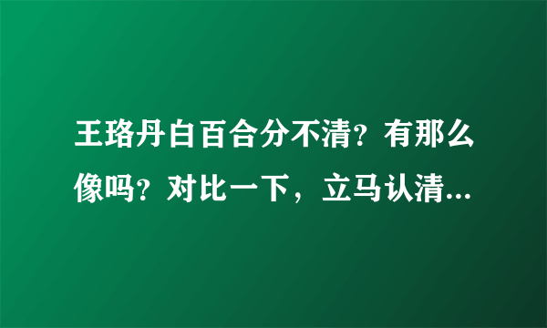 王珞丹白百合分不清？有那么像吗？对比一下，立马认清她们谁是谁