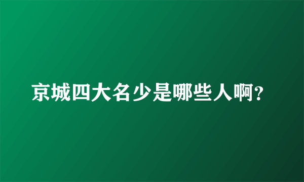 京城四大名少是哪些人啊？