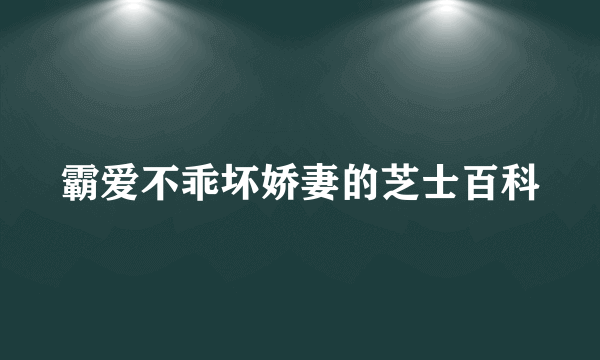 霸爱不乖坏娇妻的芝士百科