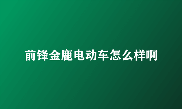 前锋金鹿电动车怎么样啊