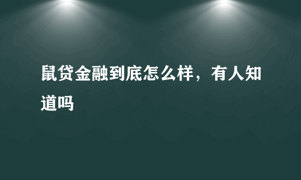 鼠贷金融到底怎么样，有人知道吗