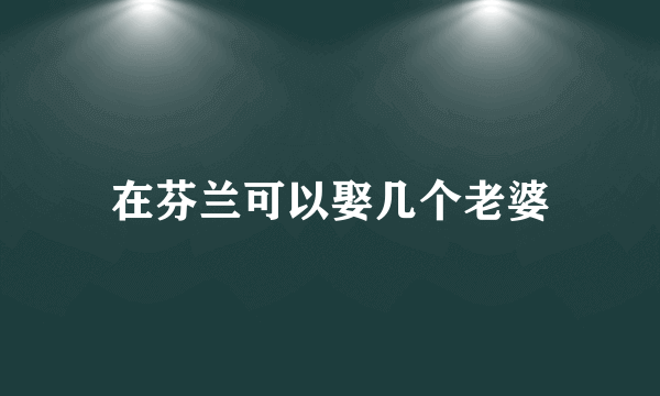 在芬兰可以娶几个老婆