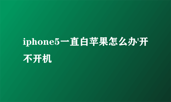 iphone5一直白苹果怎么办'开不开机