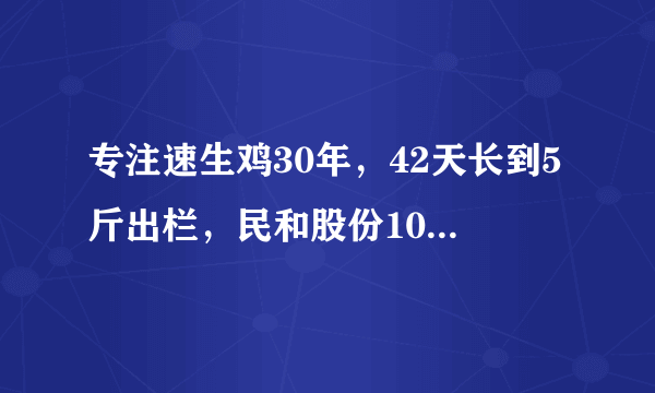 专注速生鸡30年，42天长到5斤出栏，民和股份10年净亏5亿