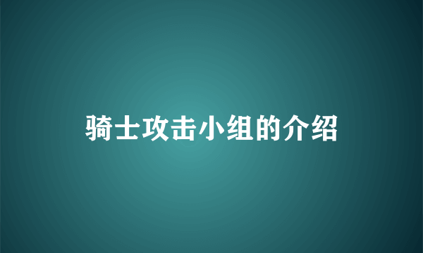 骑士攻击小组的介绍