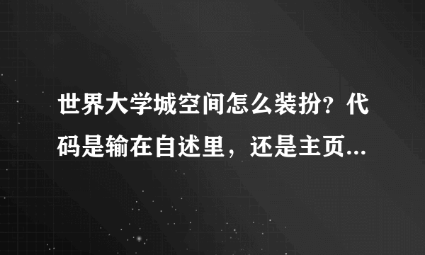 世界大学城空间怎么装扮？代码是输在自述里，还是主页板块设置自定义模块里？